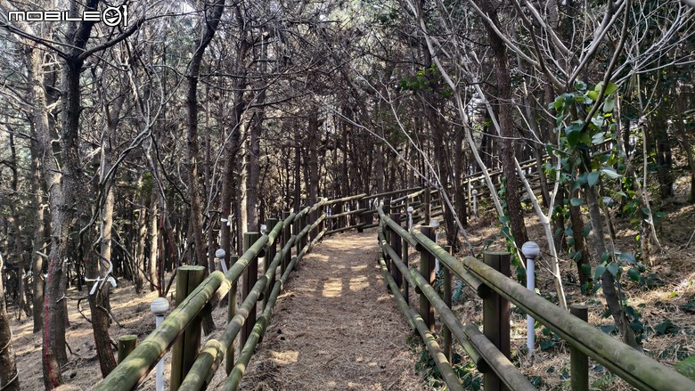韓國濟州島 | 跳島行程 | 牛島單車環島輕鬆騎