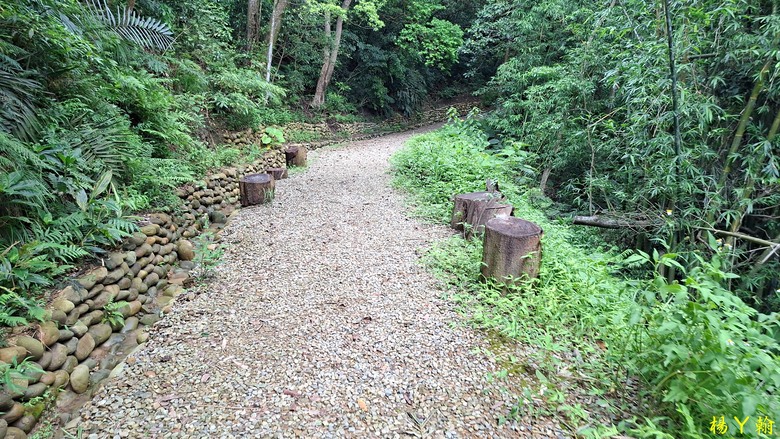 【微笑山線】全新登山步道，大湖之森自然步道，輕鬆健行享受森林浴