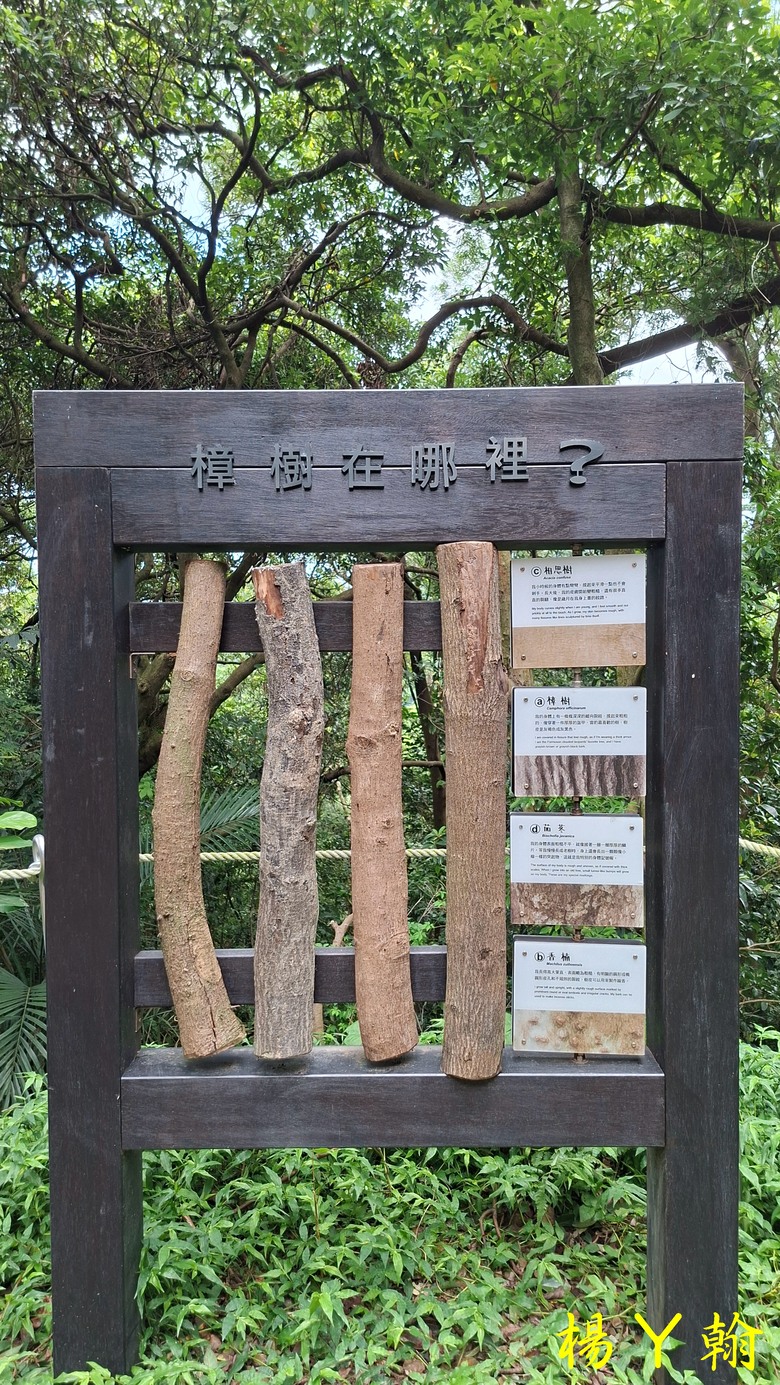 【微笑山線】全新登山步道，大湖之森自然步道，輕鬆健行享受森林浴