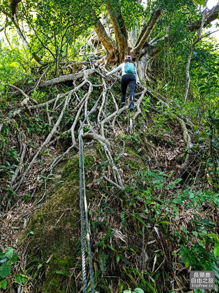 大社觀音山/尖山 9連峰 攀岩 360度視野展望 美食小吃