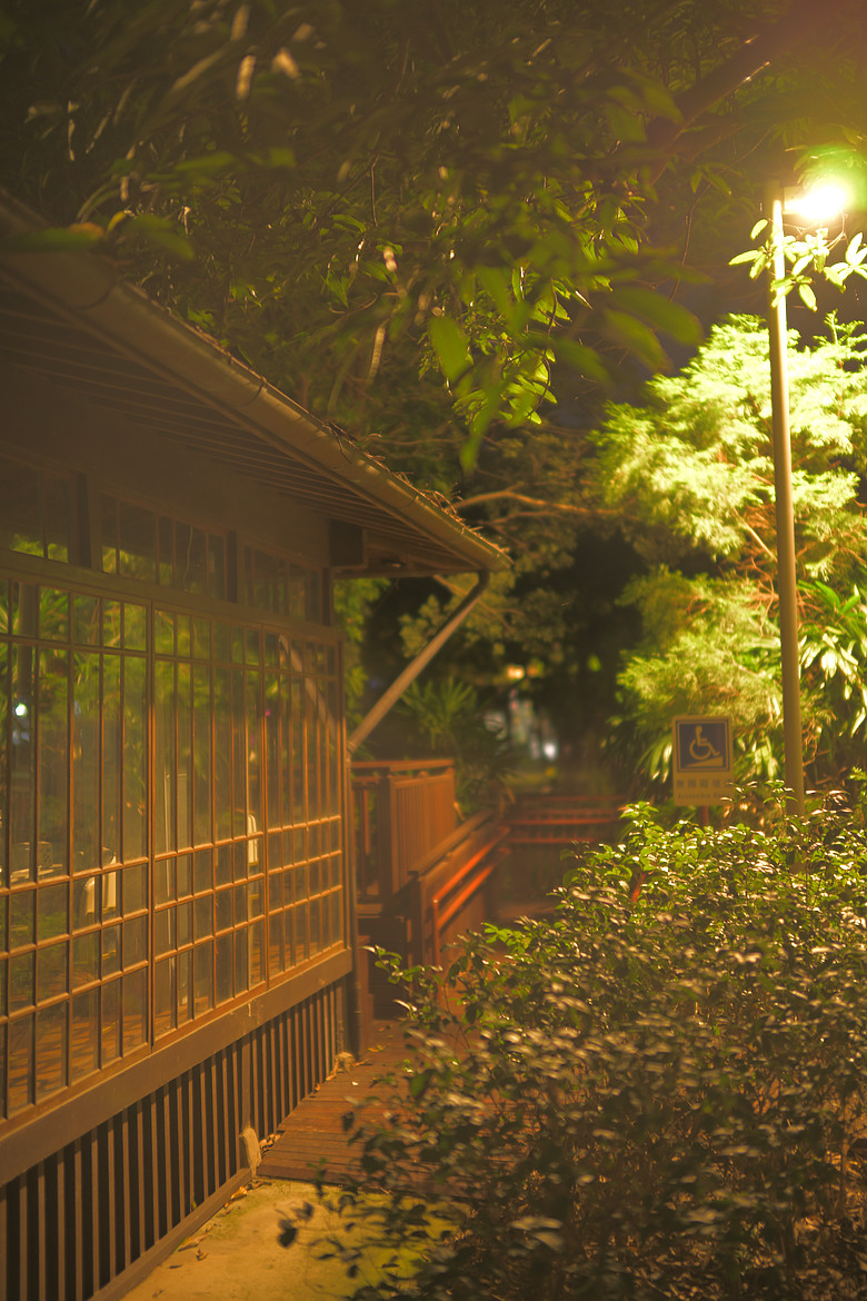 ZF+LAOWA Argus 45mm f/0.95 麗池-夜