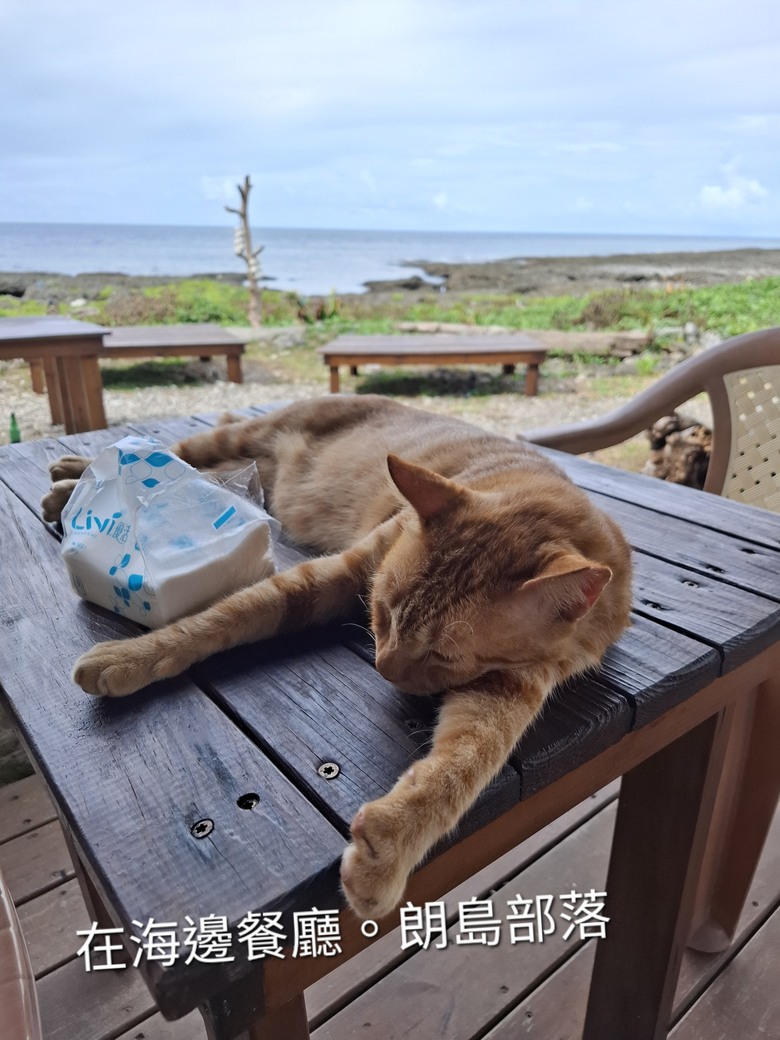 蘭嶼。6天5夜