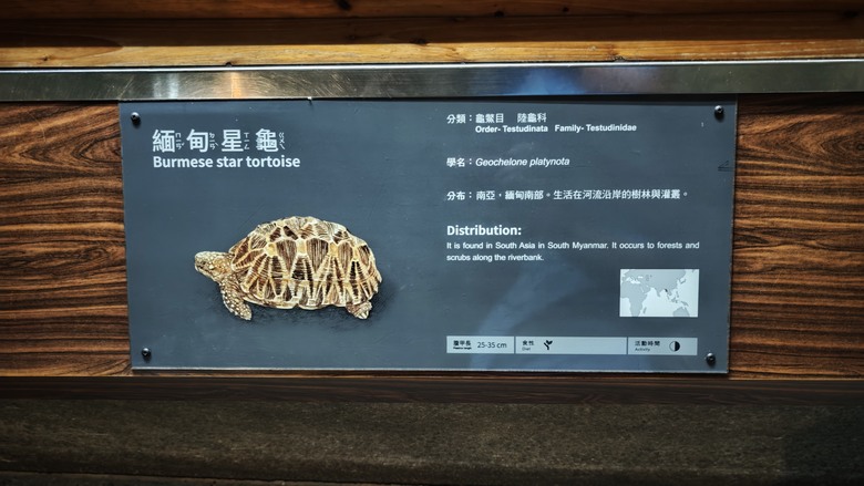 另類的父親節 - 台北市立動物園 "夜之動物園" 遊記分享~
