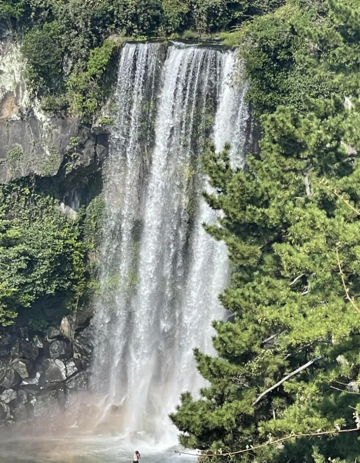 濟州島跑步環島 (09/22-09/28) - 315.9公里