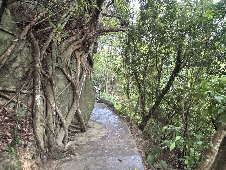 搭 捷 運 登 走 劍 潭 山 親 山 步 道