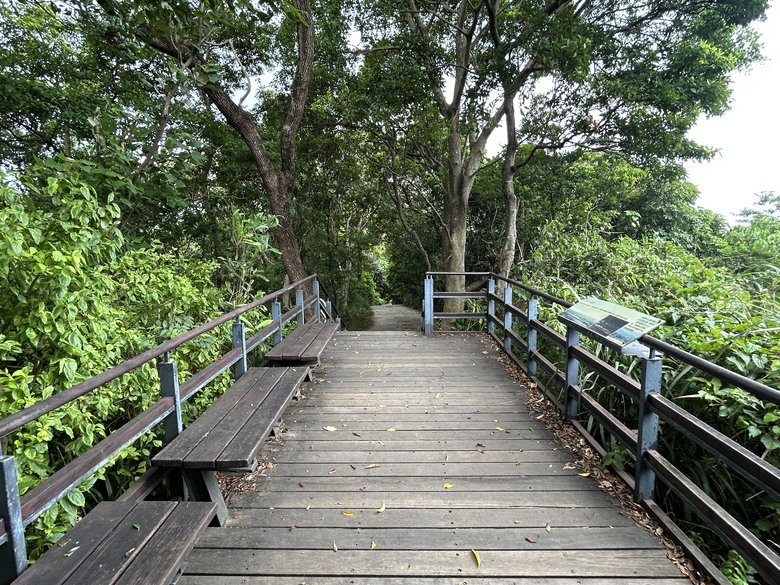 搭 捷 運 登 走 劍 潭 山 親 山 步 道