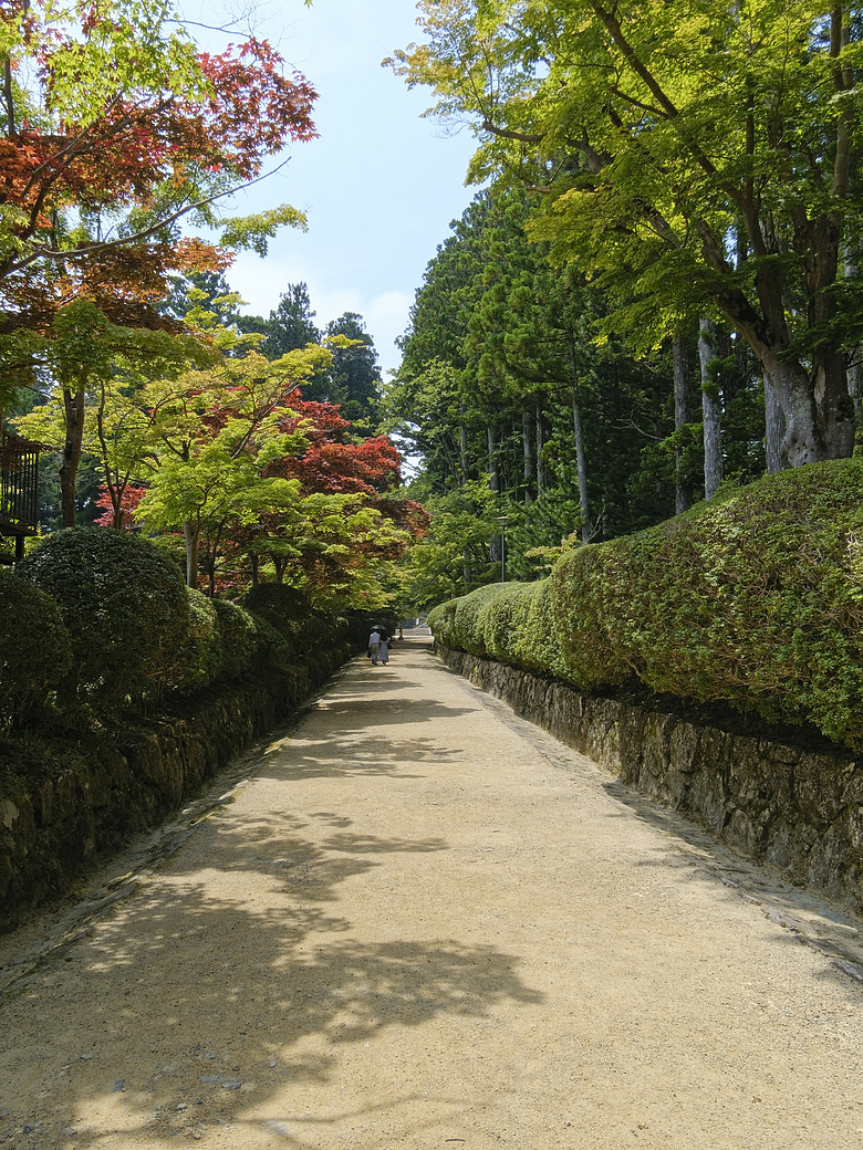 點我看大圖 世界遺產.高野山巡禮