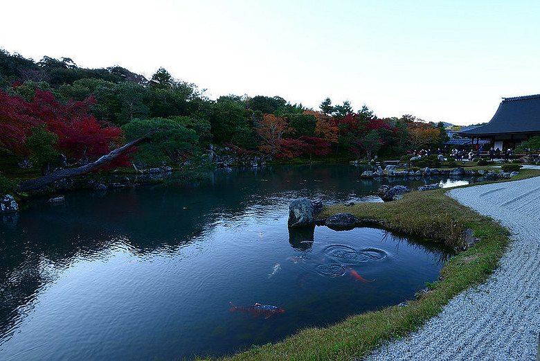 2016 - 秋 - 一個人的旅行 日本關西地區
