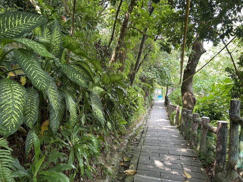 搭 捷 運 登 走 劍 潭 山 親 山 步 道