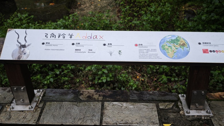 另類的父親節 - 台北市立動物園 "夜之動物園" 遊記分享~
