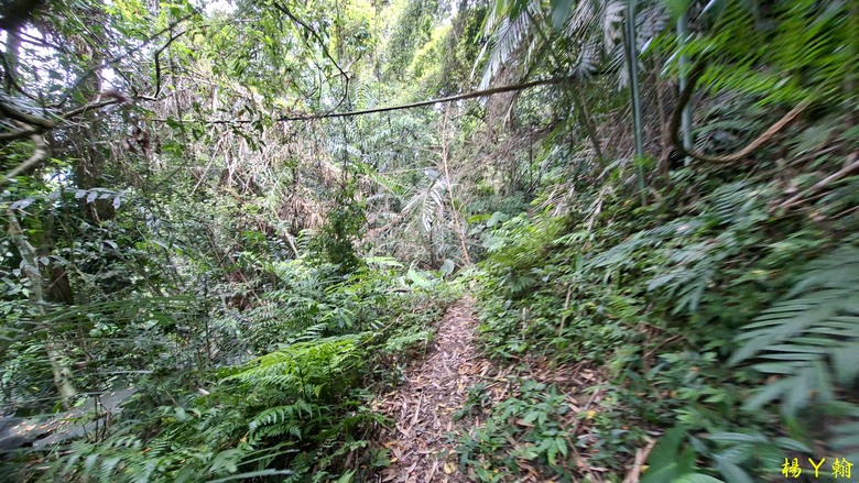 【郊山走走】走上山,近於水:登上戰略要地枕頭山,探尋依山傍水的薑母島