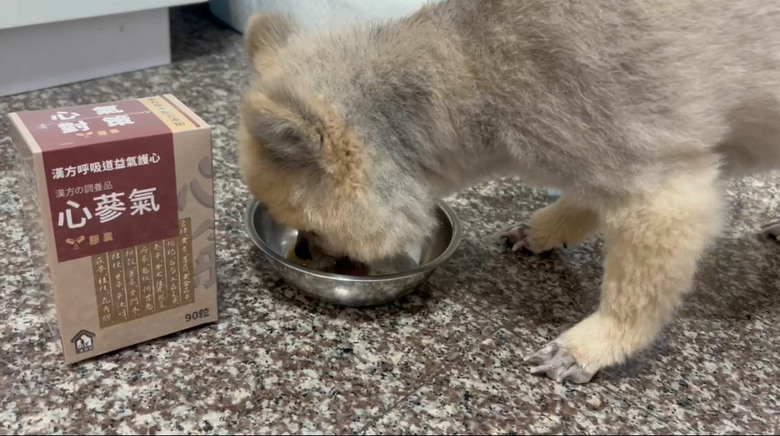 ［分享］毛小孩的保健食品