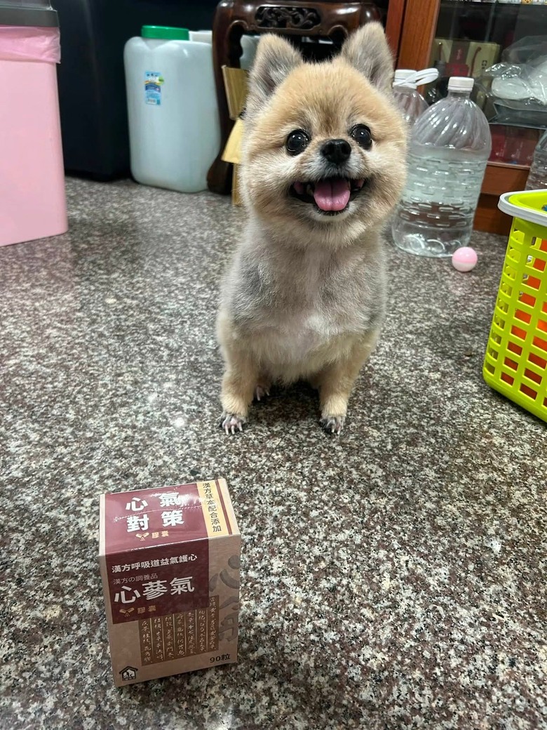 ［分享］毛小孩的保健食品