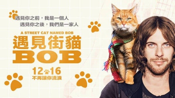 牠幫他賺錢讓他不再想吸毒了|《遇見街貓BOB》觀影心得