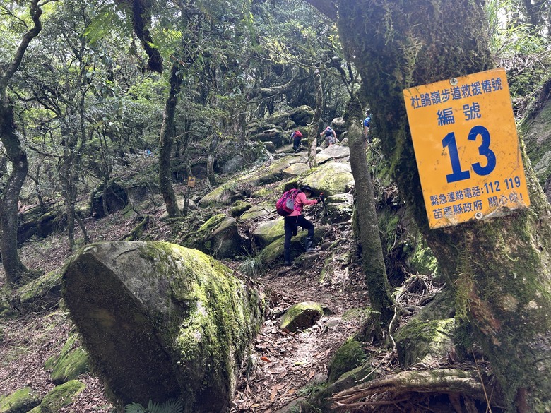 苗 栗 最 高 峰 加 里 山 ( 台 版 富 士 山 )