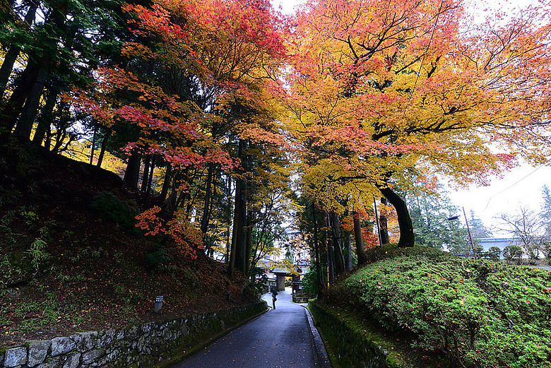 2016 - 秋 - 一個人的旅行 日本關西地區
