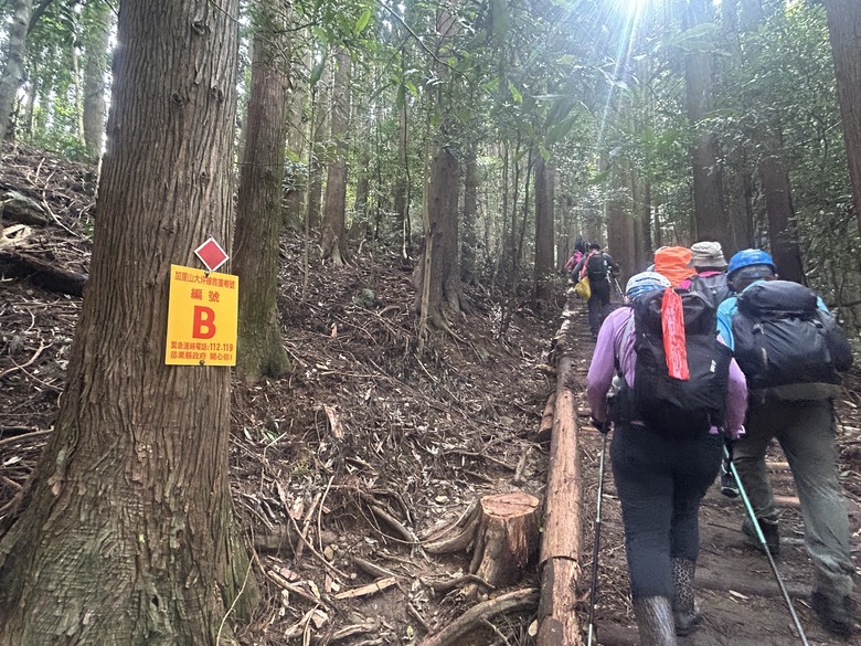苗 栗 最 高 峰 加 里 山 ( 台 版 富 士 山 )