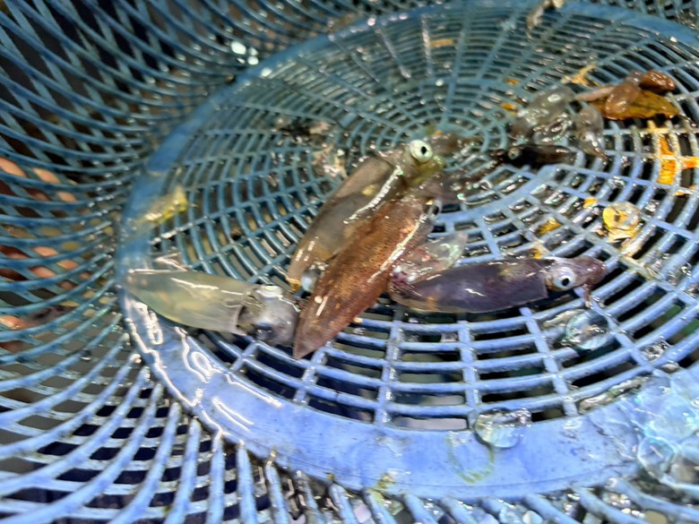 海釣初體驗｜海風、魚竿，還有兩個傻子