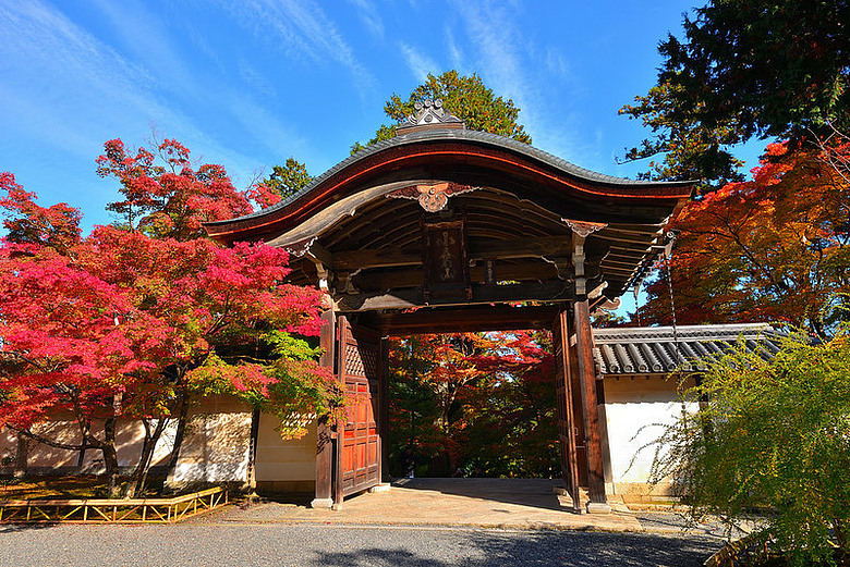 2016 - 秋 - 一個人的旅行 日本關西地區