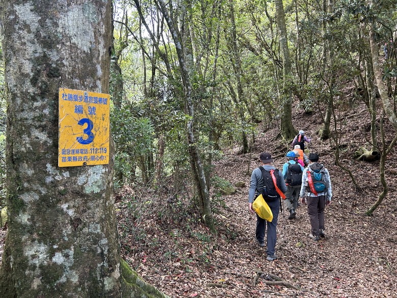 苗 栗 最 高 峰 加 里 山 ( 台 版 富 士 山 )