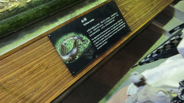 另類的父親節 - 台北市立動物園 "夜之動物園" 遊記分享~