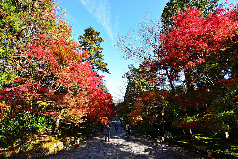 2016 - 秋 - 一個人的旅行 日本關西地區