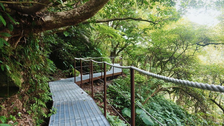 台北近郊秘境!走進陽明山竹子湖猴崁水圳步道,探索百年水圳與山林之美