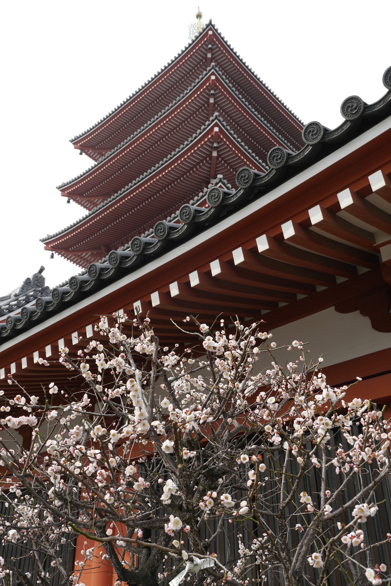 東京的旅遊紀錄 淺草 銀座 東京鐵塔 東京都廳