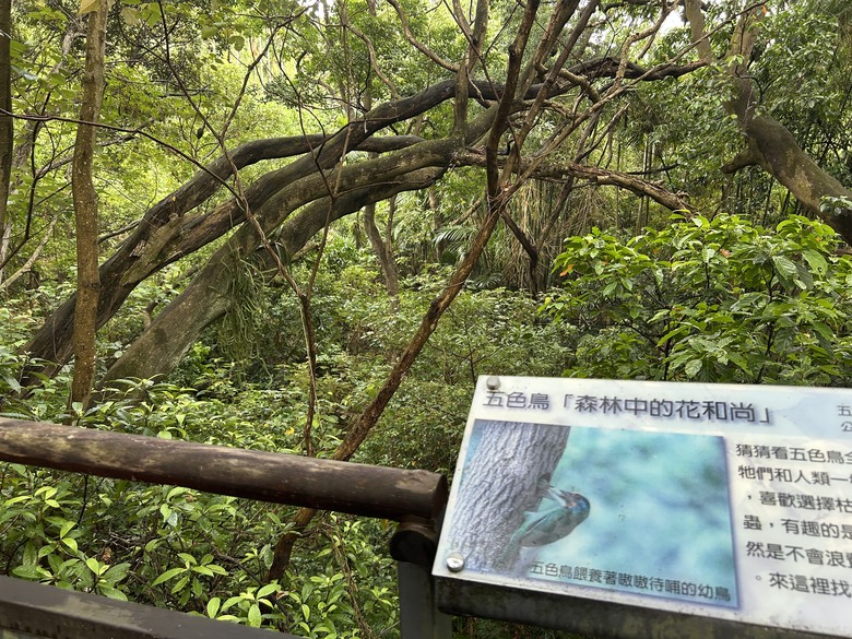 搭 捷 運 登 走 劍 潭 山 親 山 步 道