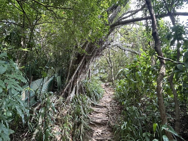搭 捷 運 登 走 劍 潭 山 親 山 步 道