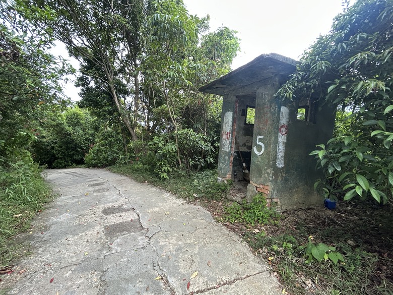 搭 捷 運 登 走 劍 潭 山 親 山 步 道