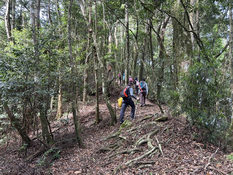 苗 栗 最 高 峰 加 里 山 ( 台 版 富 士 山 )