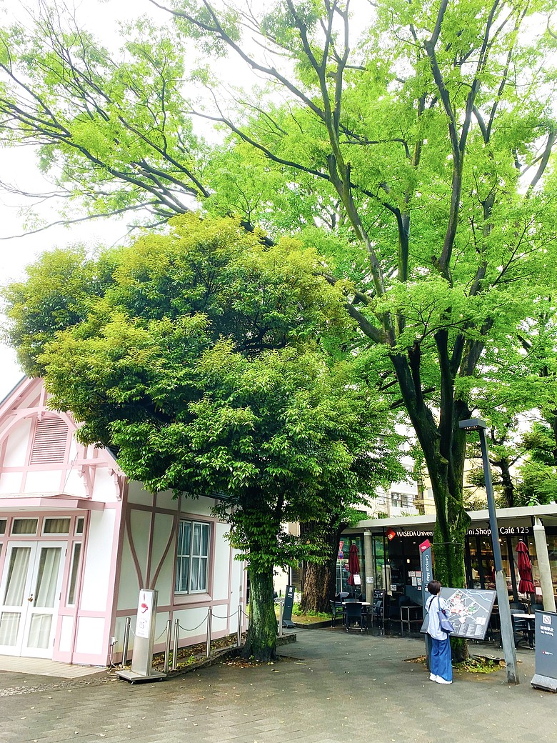 ＜日本＞2024～早稻田大學村上春樹圖書館、穴八幡宮、東京法輪寺、池袋陽光水族館、炸牛元村