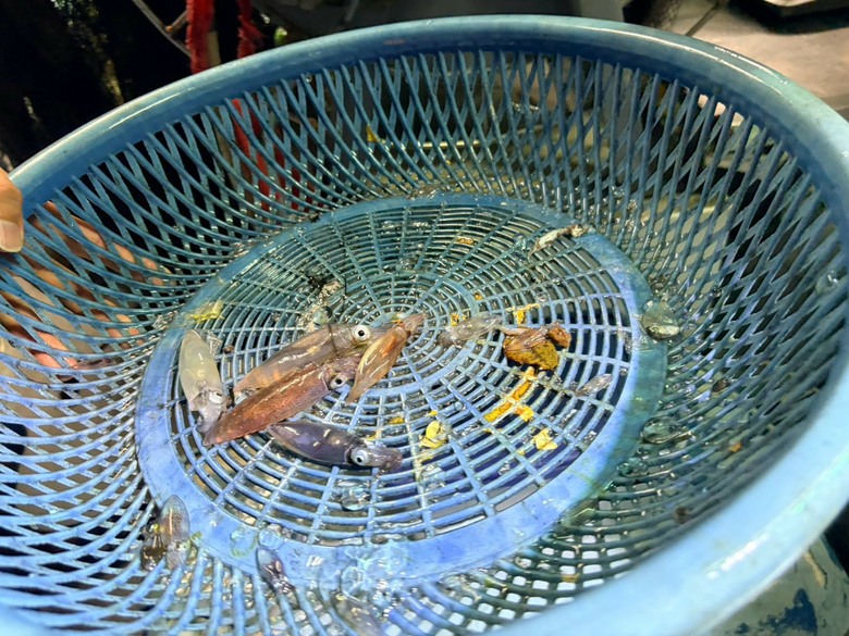 海釣初體驗｜海風、魚竿，還有兩個傻子