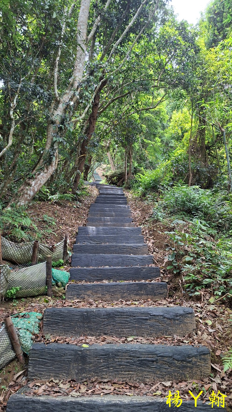 【郊山走走】走上山,近於水:登上戰略要地枕頭山,探尋依山傍水的薑母島