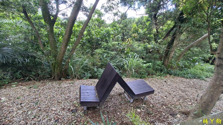 【微笑山線】全新登山步道，大湖之森自然步道，輕鬆健行享受森林浴