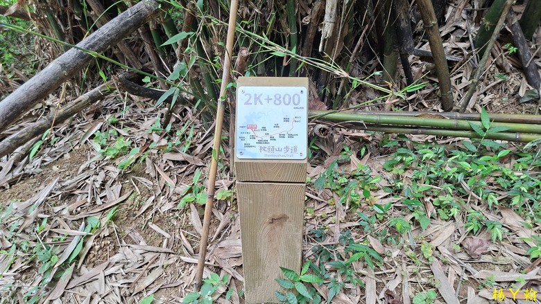 【郊山走走】走上山,近於水:登上戰略要地枕頭山,探尋依山傍水的薑母島