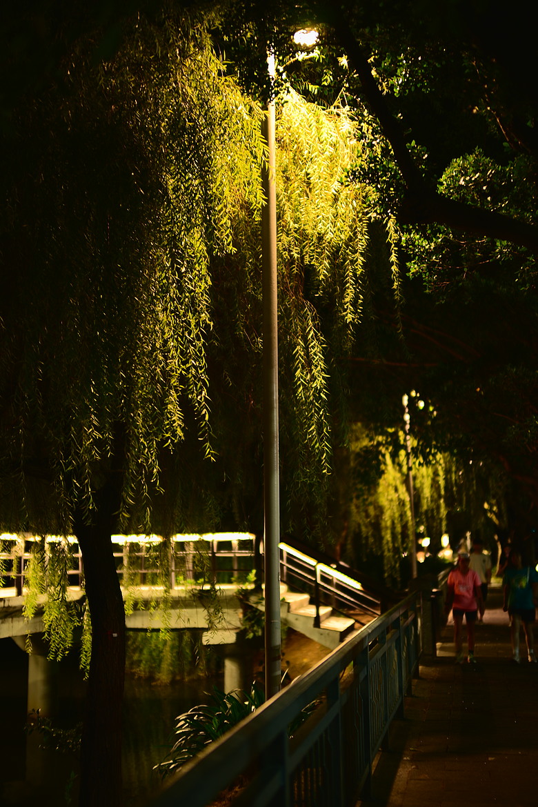 ZF+LAOWA Argus 45mm f/0.95 麗池-夜