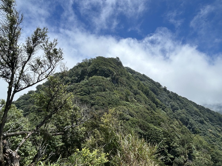 苗 栗 最 高 峰 加 里 山 ( 台 版 富 士 山 )