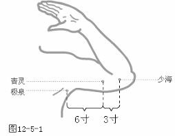 心臟病肺臟病保養和改善
