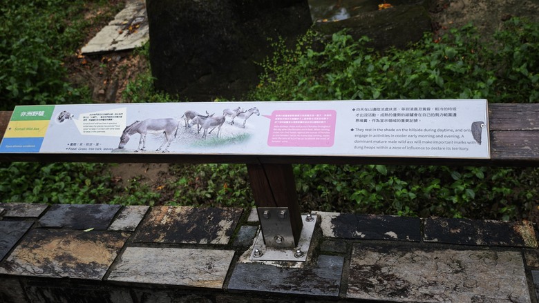 另類的父親節 - 台北市立動物園 "夜之動物園" 遊記分享~