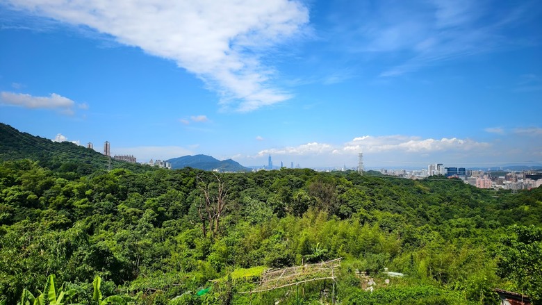 一踩一蹬用小折踏出和平鴿 | 汐止&rarr;汐碇路&rarr;南港 | GPS Art