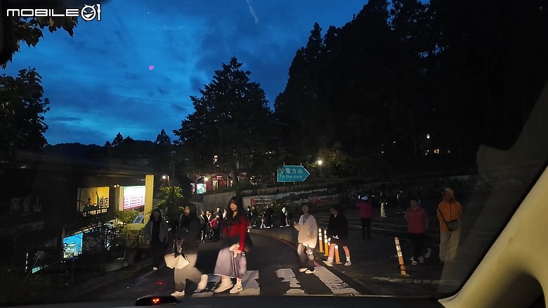 車泊阿里山看日出｜小火車、日出、巨木群一次打包！
