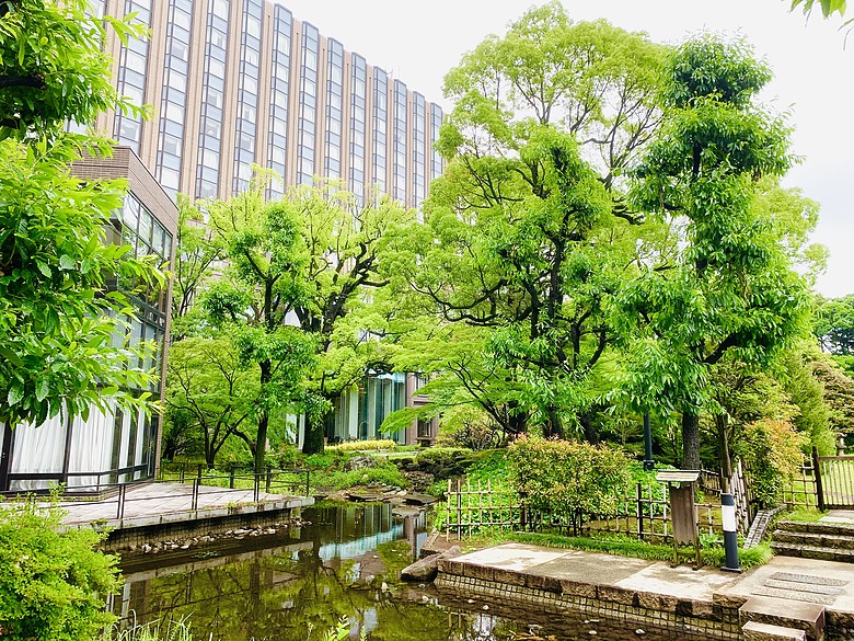 ＜日本＞2024～早稻田大學村上春樹圖書館、穴八幡宮、東京法輪寺、池袋陽光水族館、炸牛元村