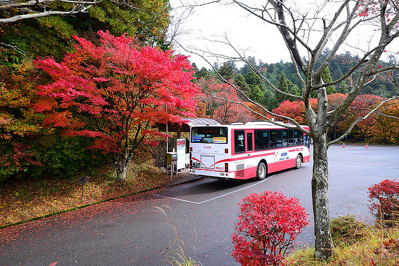 2016 - 秋 - 一個人的旅行 日本關西地區
