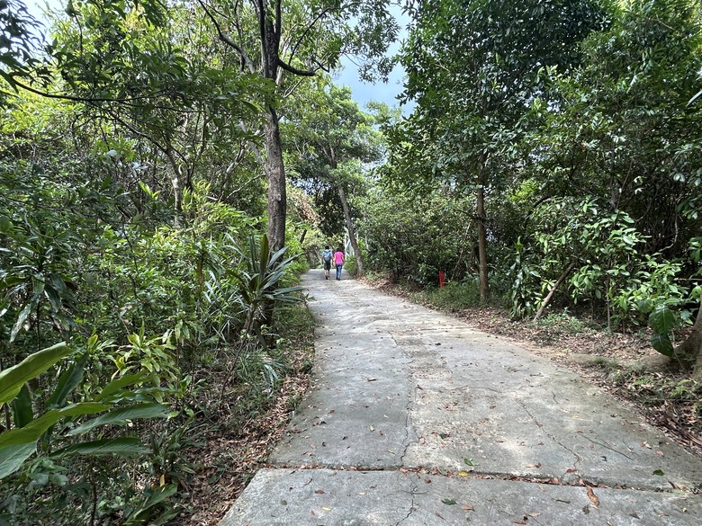 搭 捷 運 登 走 劍 潭 山 親 山 步 道