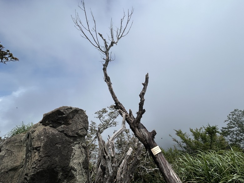 苗 栗 最 高 峰 加 里 山 ( 台 版 富 士 山 )