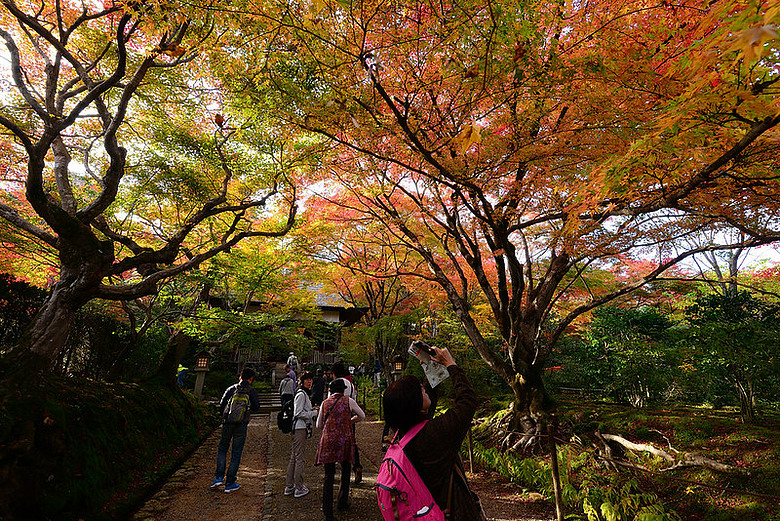 2016 - 秋 - 一個人的旅行 日本關西地區