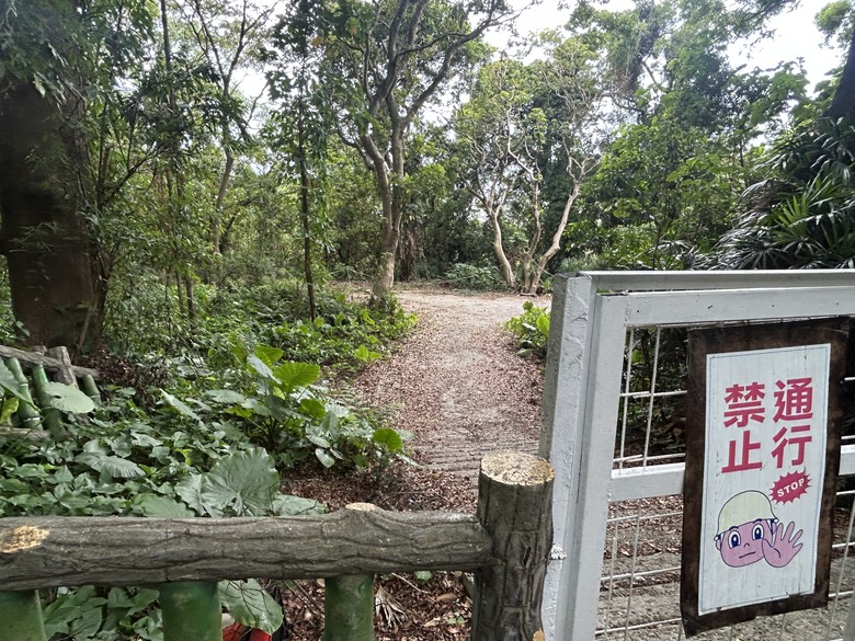 搭 捷 運 登 走 劍 潭 山 親 山 步 道