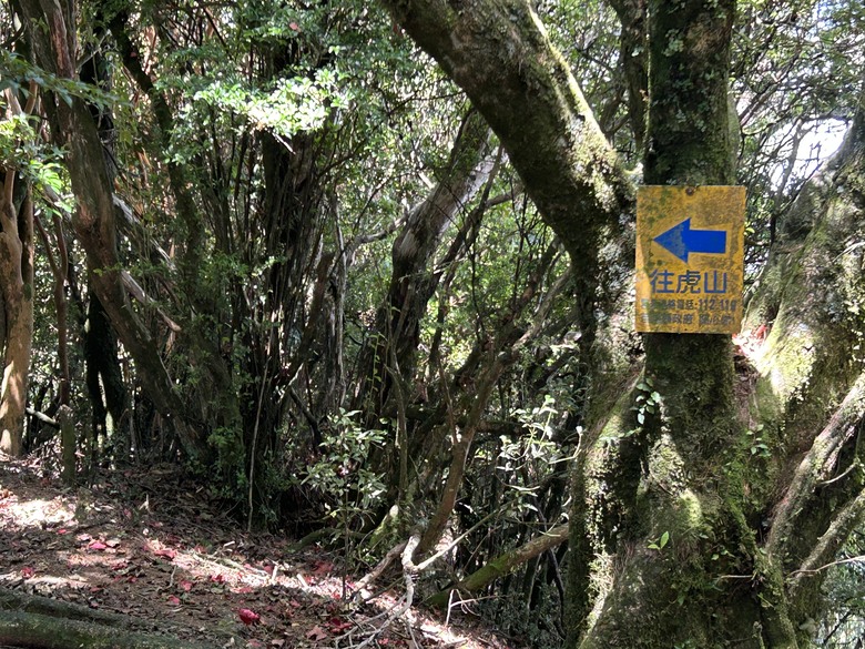 苗 栗 最 高 峰 加 里 山 ( 台 版 富 士 山 )
